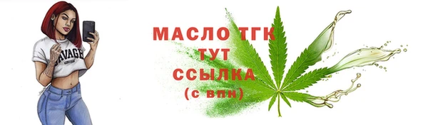 индика Галич