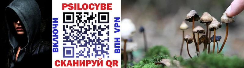 Псилоцибиновые грибы Psilocybe цена Апрелевка