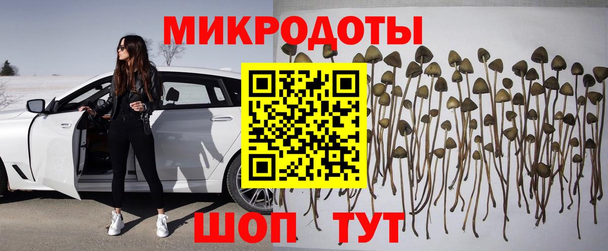 Псилоцибиновые грибы Cubensis Апрелевка