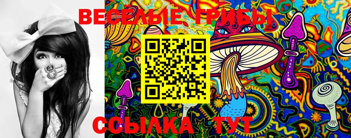 Галлюциногенные грибы MAGIC MUSHROOMS  где продают наркотики  Апрелевка  Псилоцибиновые грибы Magic Shrooms  Вход с VPN 