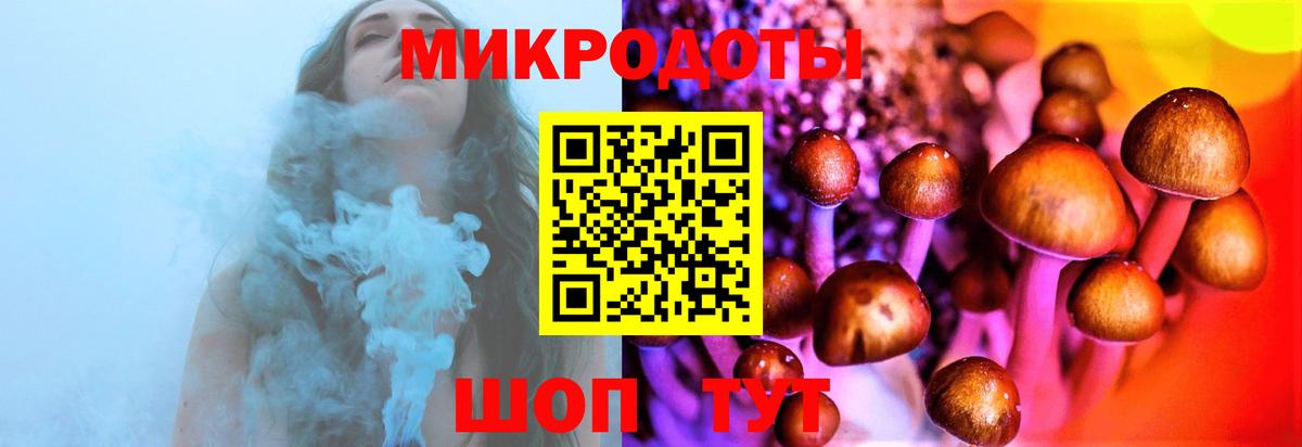 Псилоцибиновые грибы Psilocybine cubensis  Псилоцибиновые грибы Psilocybine cubensis  купить   Апрелевка 