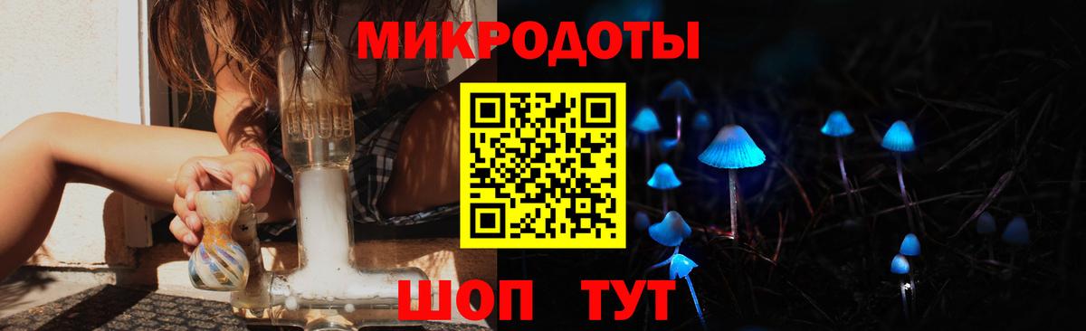 магазин продажи наркотиков  Апрелевка  Галлюциногенные грибы мицелий 